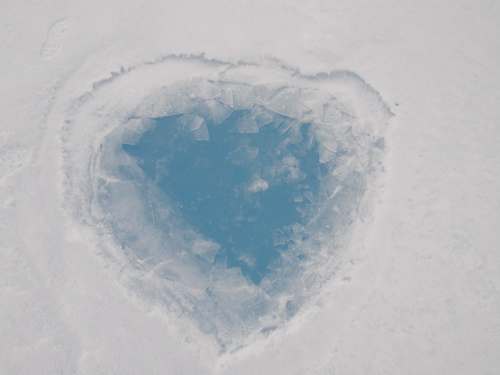 Heart in the ice